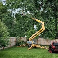 Best Lot and Land Clearing  in Maple Bluff, WI