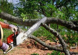 Best Lawn Irrigation Installation and Maintenance  in Maple Bluff, WI