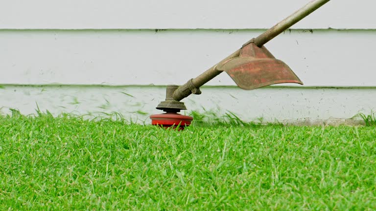 Best Leaf Removal  in Maple Bluff, WI